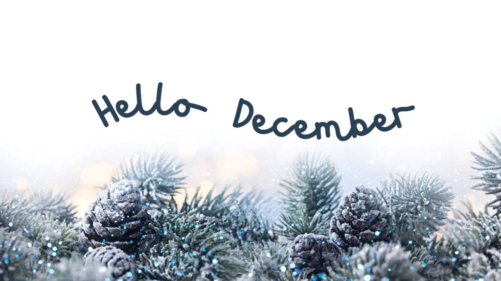 Festive winter wallpaper with frosted pine leaves pinecones and Hello December handwritten text