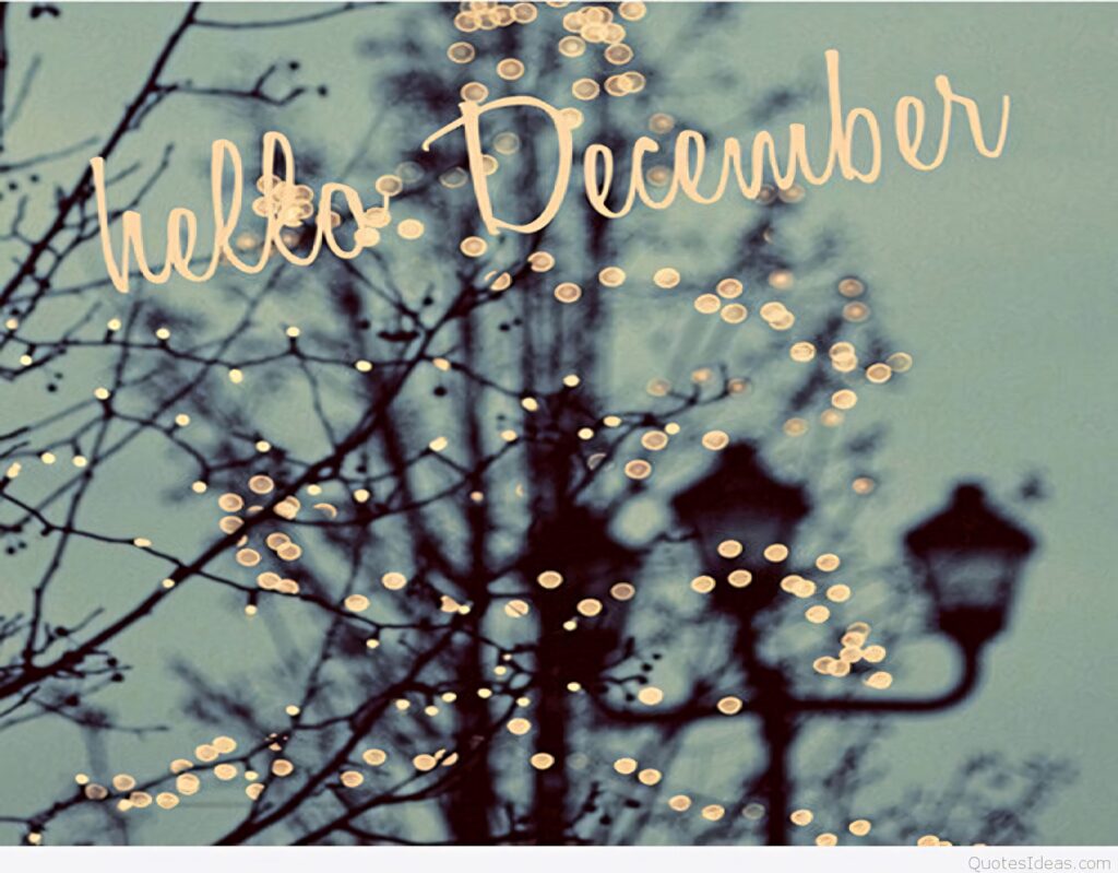 Soft winter wallpaper with bare branches glowing bokeh lights and handwritten Hello December text
