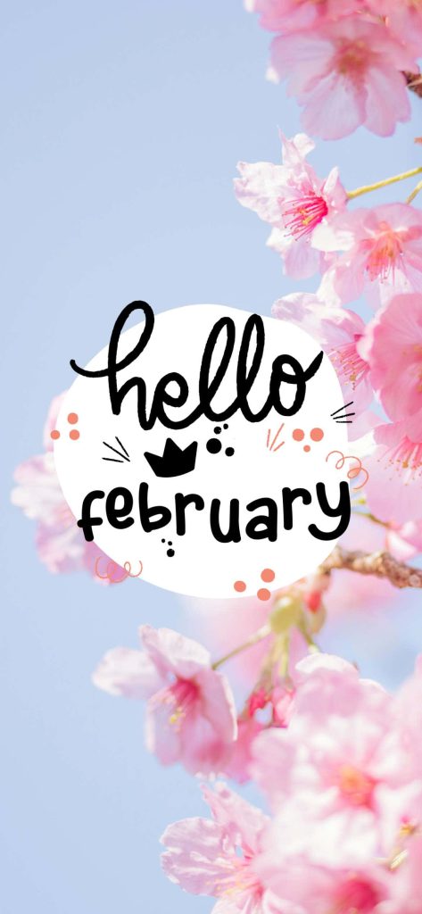 February wallpaper with pink cherry blossoms hello February text and pastel blue sky background