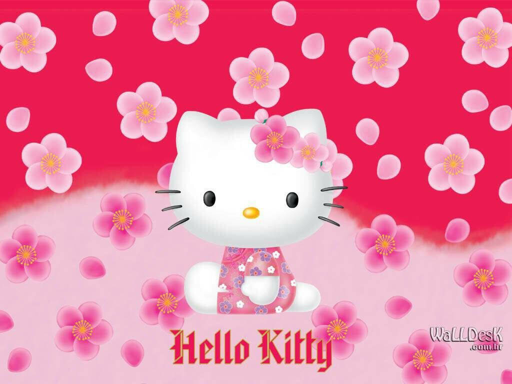 Hello Kitty: Embracing Serenity amidst Blossoming Cherry Blossoms Wallpaper