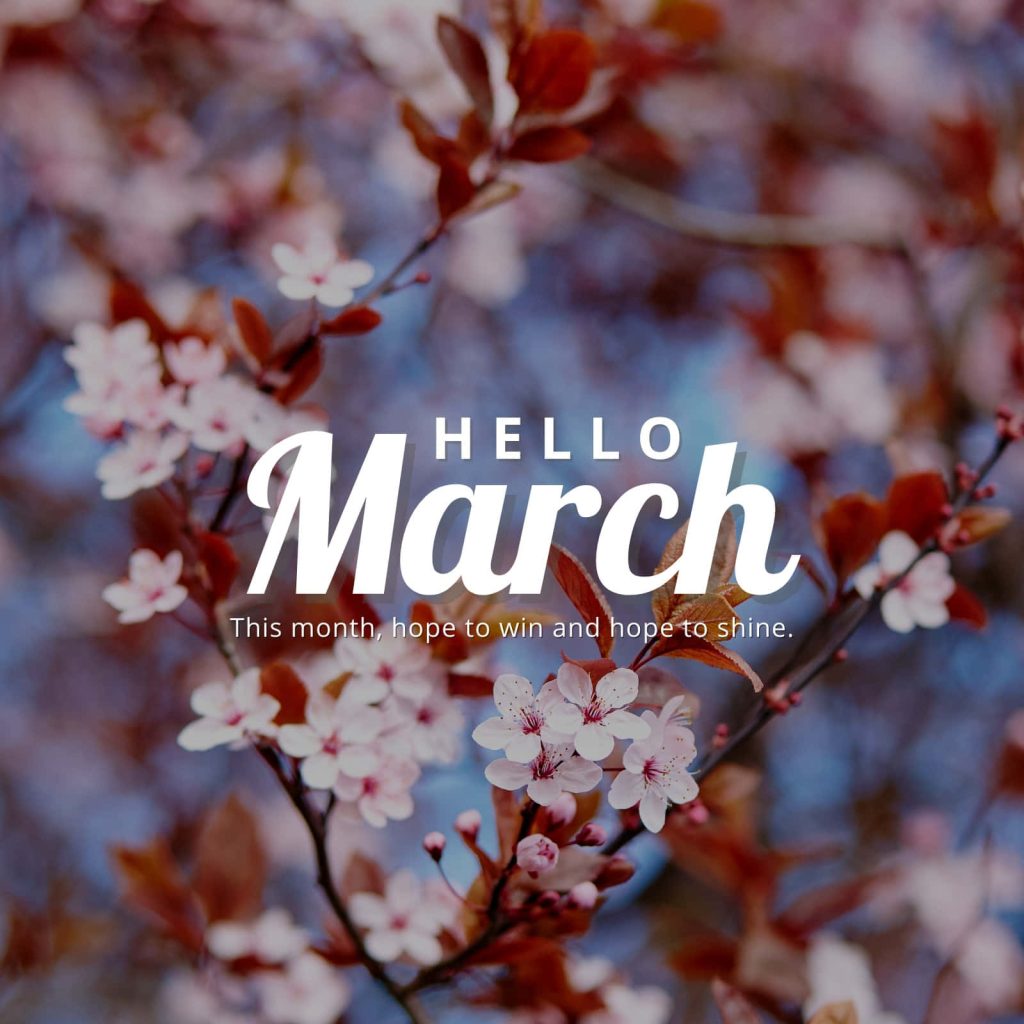 Hello March wallpaper with soft cherry blossoms blue background and uplifting spring quote
