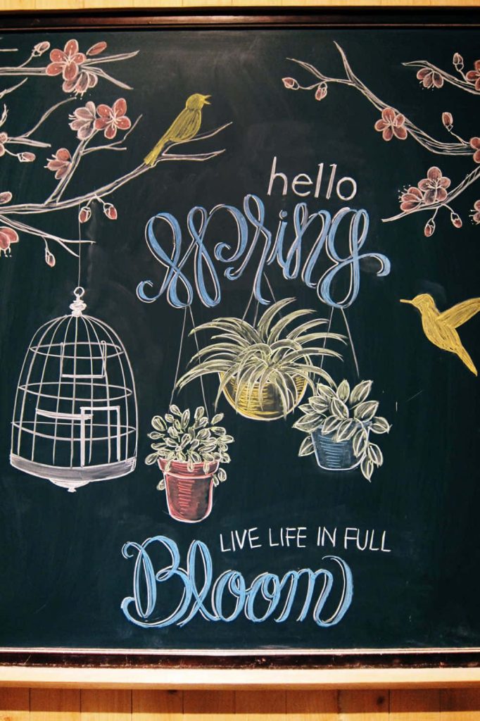 Chalkboard spring wallpaper with cherry blossoms birds birdcage houseplants and inspirational text