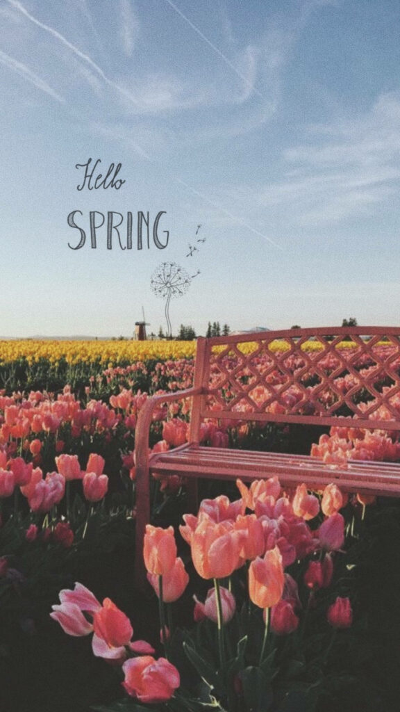 Hello Spring: Serene Pink Tulips & Inviting Bench Wallpaper