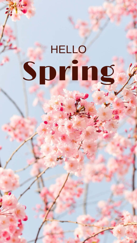Hello Spring: Captivating Floral Wallpaper with Pink Cherry Blossoms