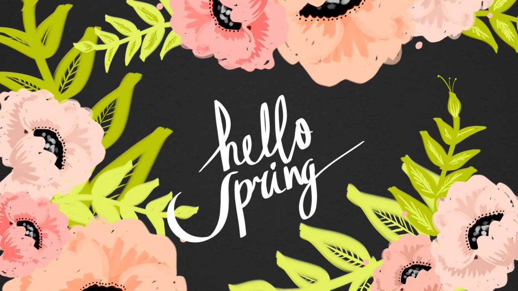 Hello Spring wallpaper with pink flowers lime green leaves on sleek black modern background