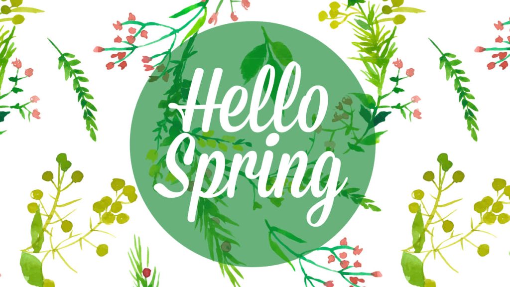 Watercolor Hello Spring wallpaper with green circle white script pink buds yellow berries leaves