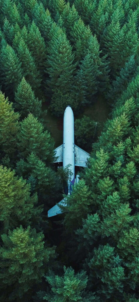 Sublime Serenity: Captivating Aerial View of Hidden Airplane in Lush Greenery - Exquisite iPhone XR Background Image Wallpaper
