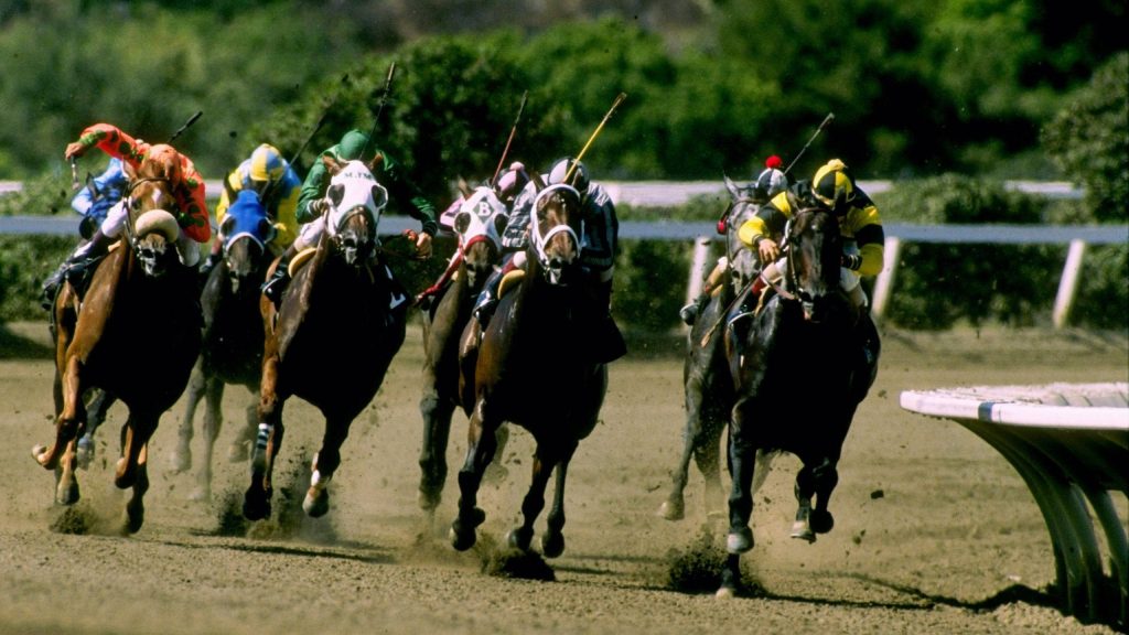 High-action horse racing with jockeys in vibrant silks racing thoroughbreds on dirt track Wallpaper