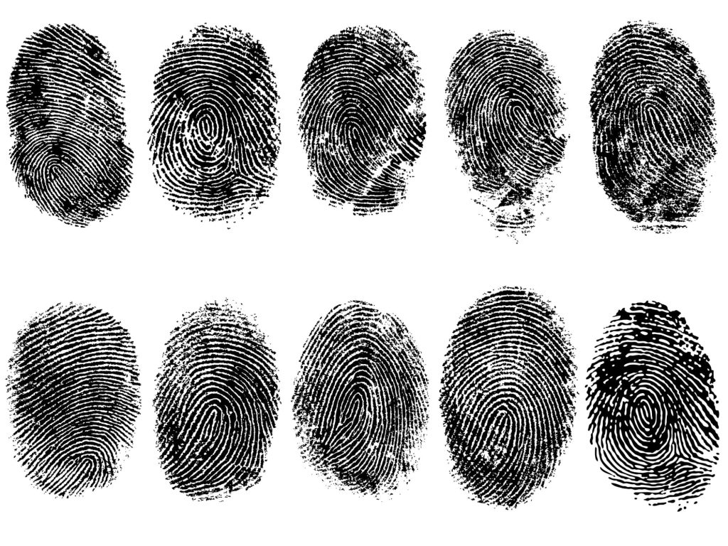 High contrast digital illustration of ten unique black fingerprints arranged in a grid on white background Wallpaper