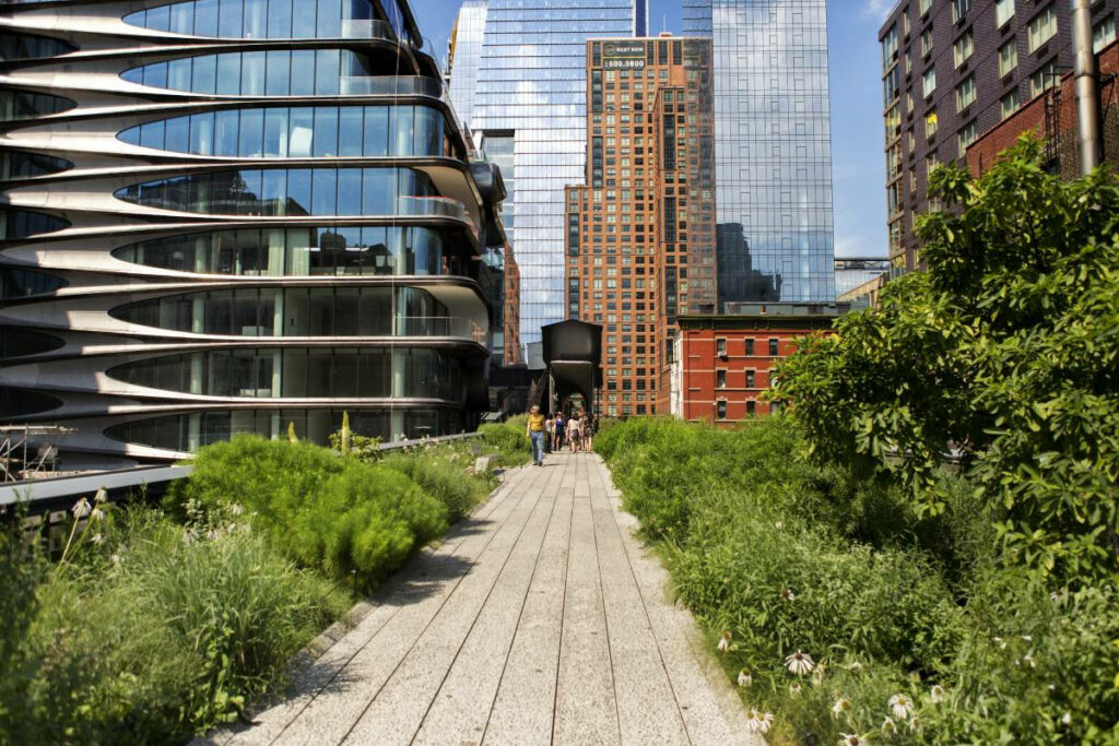 Lush Green High Line Pathway with People | Scenic Wallpaper Background