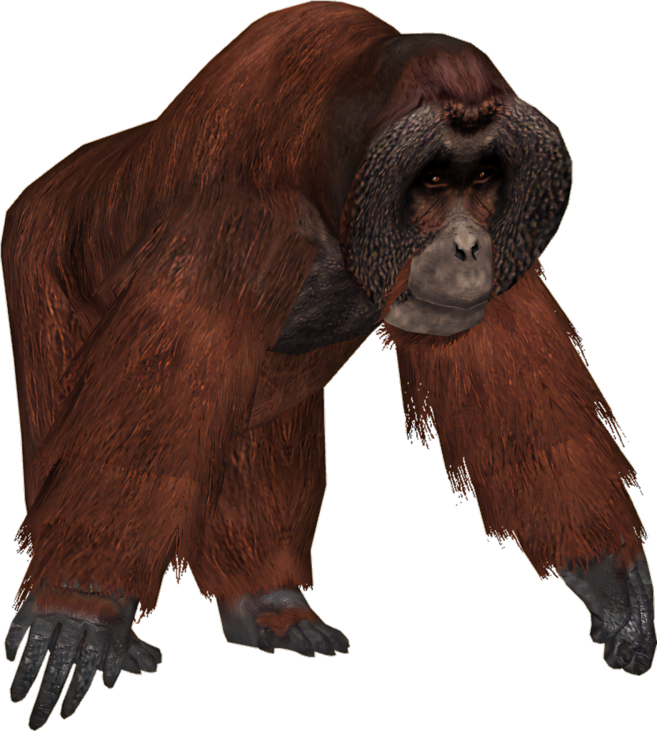 High-Quality PNG Orangutan with Transparent Background for Designs Wallpaper