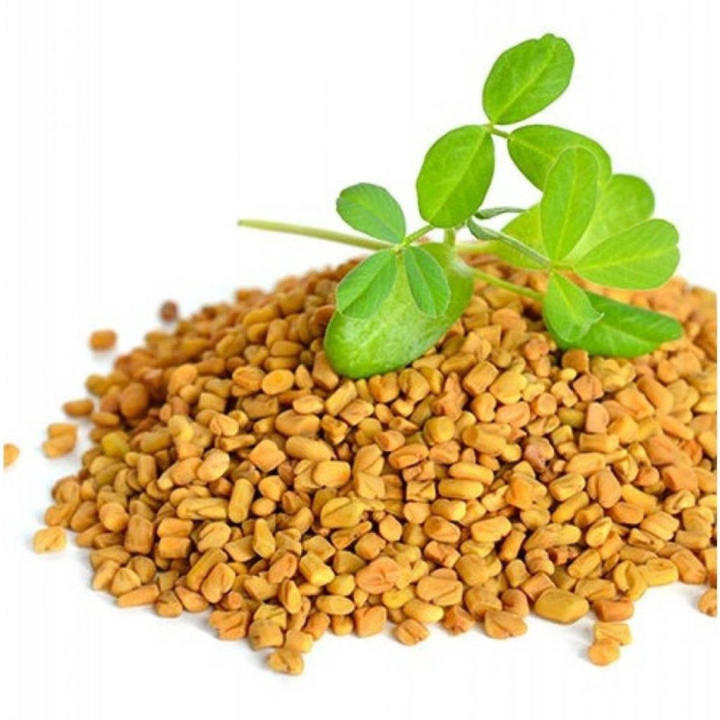 Crisp high-resolution image of golden fenugreek seeds with fresh green leaves on white background Wallpaper
