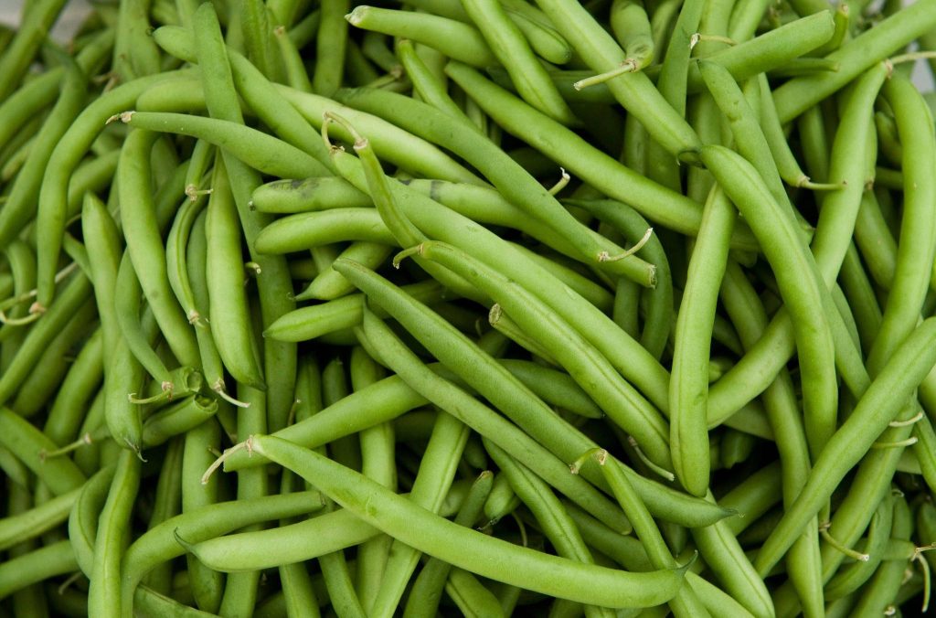 High-resolution image of fresh crisp green beans with vibrant organic texture and color Wallpaper