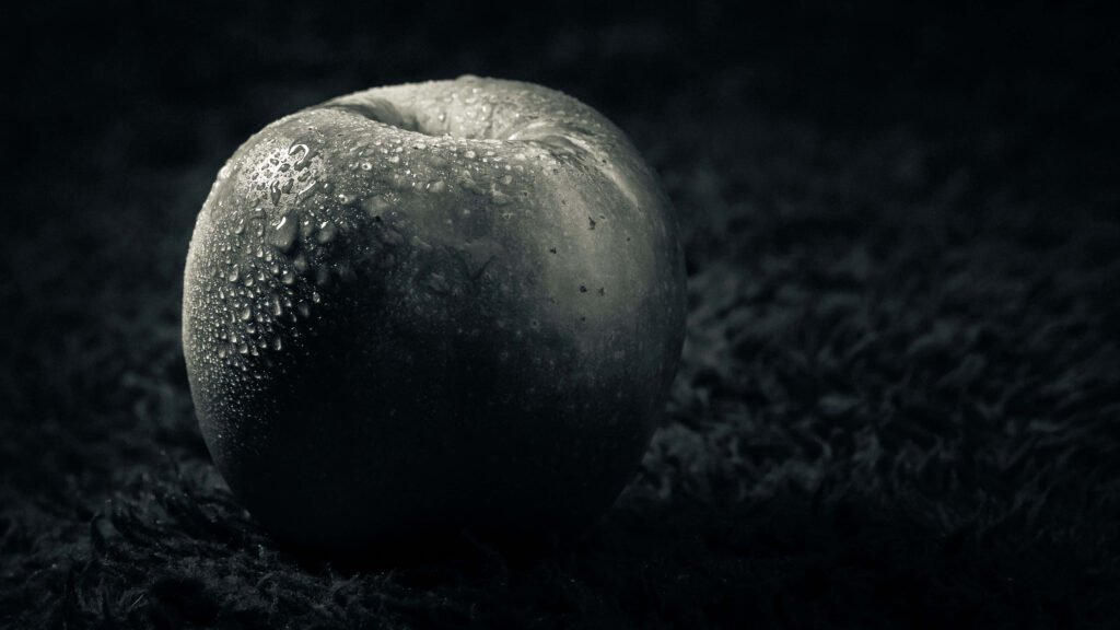 High-Res Monochrome Apple Wallpaper with Dew Drops - 4K Background