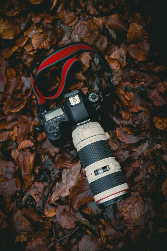 High-Res DSLR Camera Wallpaper on Autumn Leaves - Nature Meets Tech