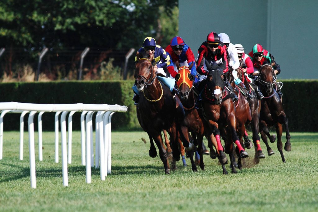 High-speed horse racing action with jockeys and racehorses charging down lush green track Wallpaper