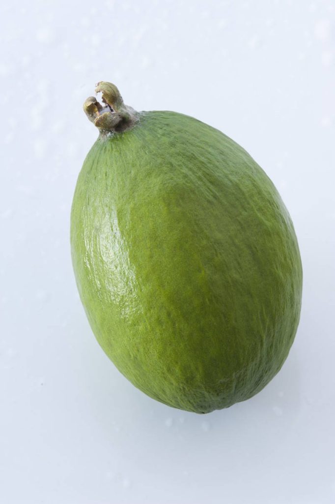Close-up of vibrant green Feijoa fruit with textured skin and calyx on light grey background Wallpaper