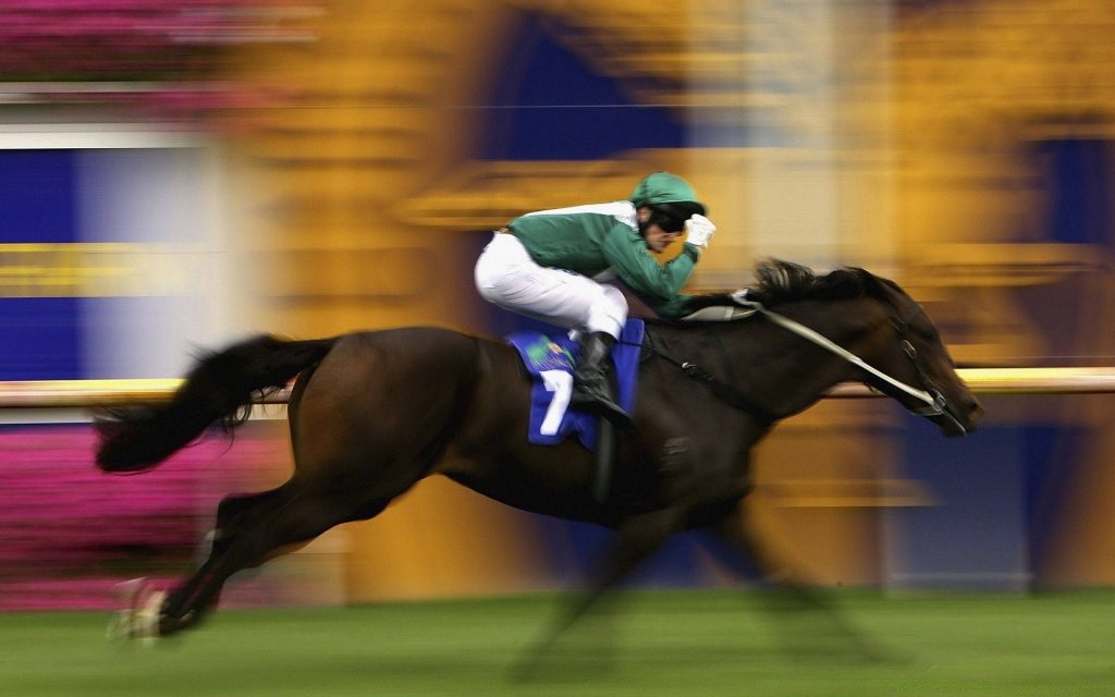 Dark thoroughbred number 7 with jockey in green white silks racing on gold blurred track background Wallpaper