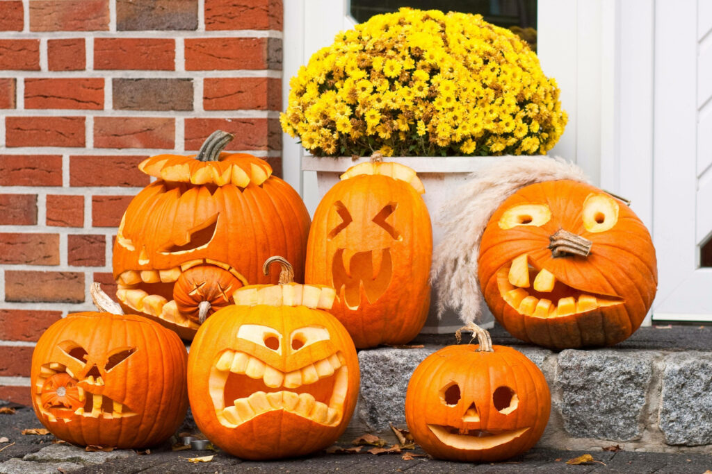 Pumpkin Patch Parade: Hilarious Faces Take Center Stage in Spooky Halloween Homestead Wallpaper