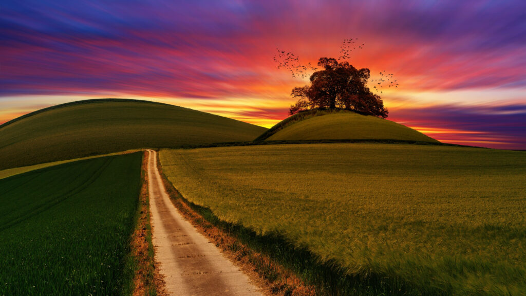 Serene Sunset Over Rolling Hills: Computer Lock Screen Background Wallpaper