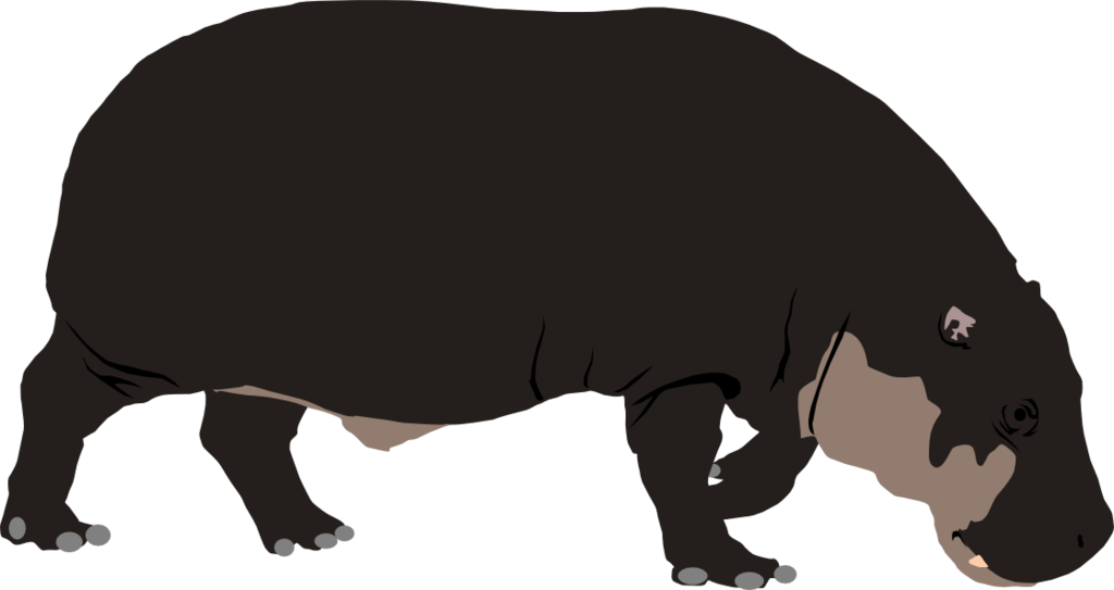 Elegant Hippo Illustration on Transparent Background - Versatile Wallpaper