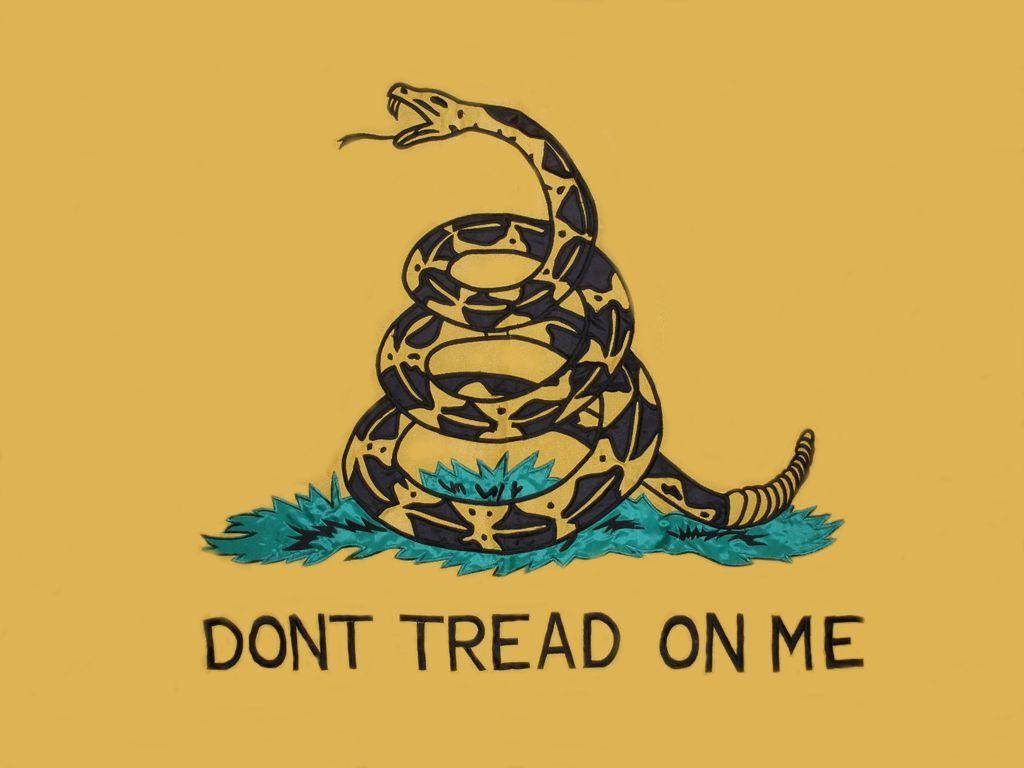 Historic Gadsden flag with coiled rattlesnake on grass and Dont Tread On Me text background Wallpaper