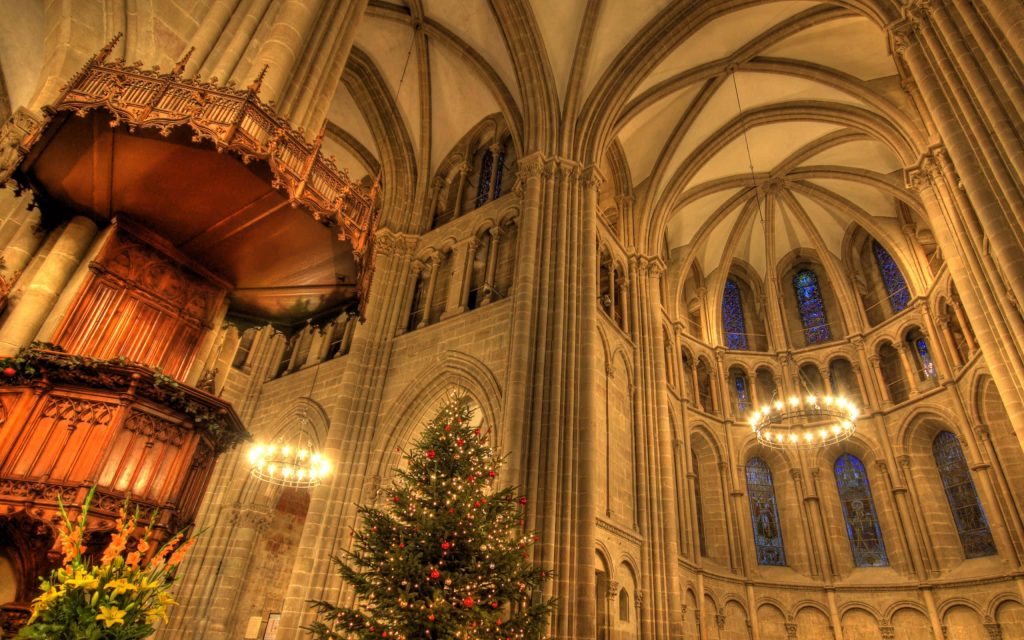 Festive Christmas tree inside historic Gothic cathedral with stone vaults and stained glass windows Wallpaper