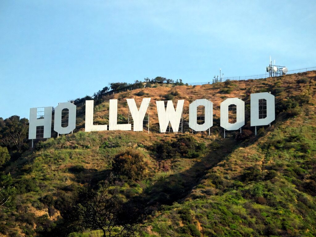 Hollywood Sign Wallpaper: Sunny Hillside with Lush Greenery