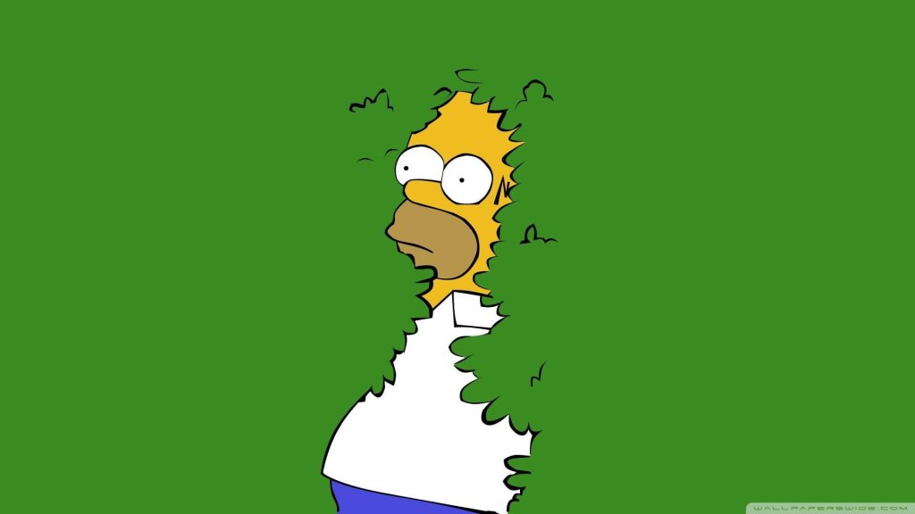 Homer Simpson backing into green hedge meme wallpaper classic animated series fan art background