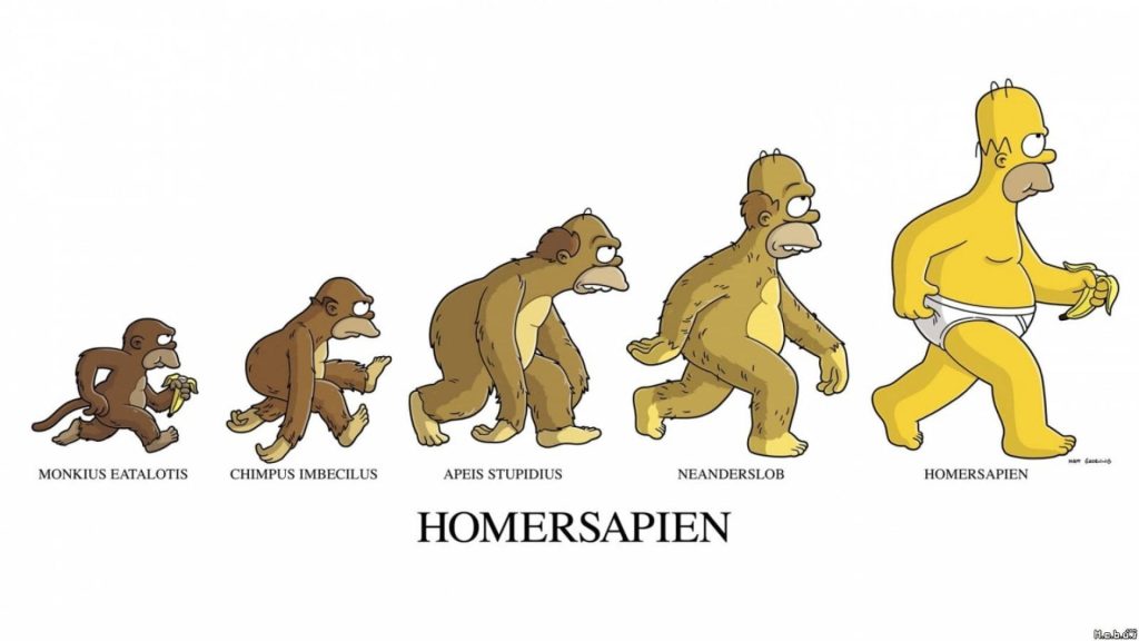 Homer Simpson evolution parody cartoon March of Progress wallpaper humorous timeline