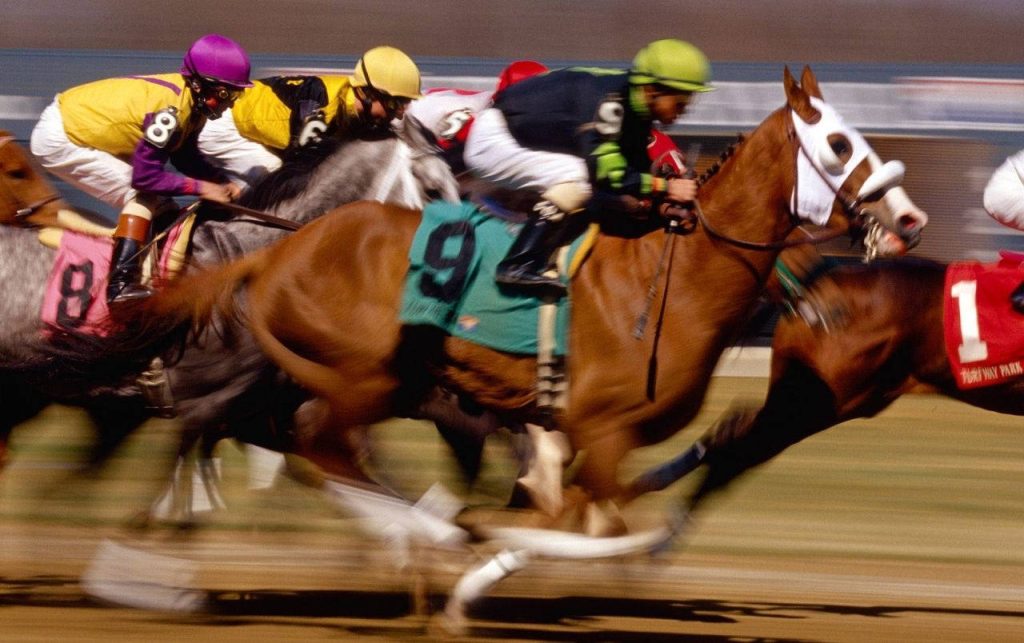 Horse racing action at Turfway Park with jockeys on thoroughbreds racing fast in blur background Wallpaper