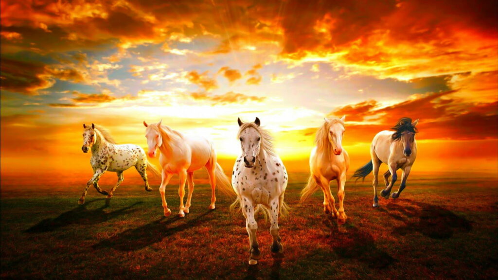 Majestic Equines Bathed in the Radiance of a Vibrant Sunset Wallpaper