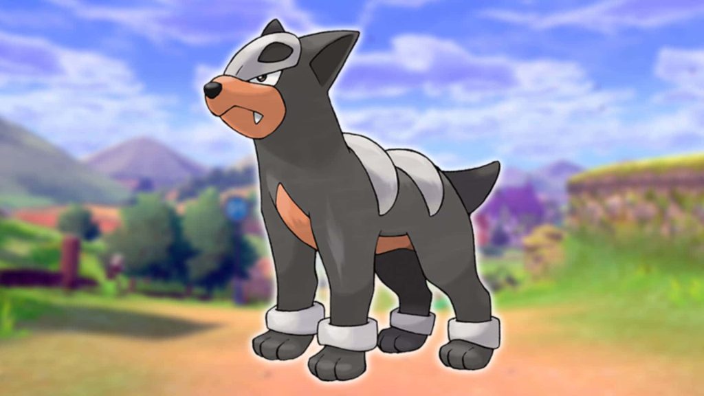 Houndoom Dark Fire type Pokemon in meadow with skull mask and metallic leg bands 3D wallpaper