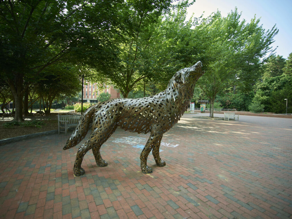 Howling Wolf Sculpture at NCSU: Art Meets Nature in Harmony Wallpaper