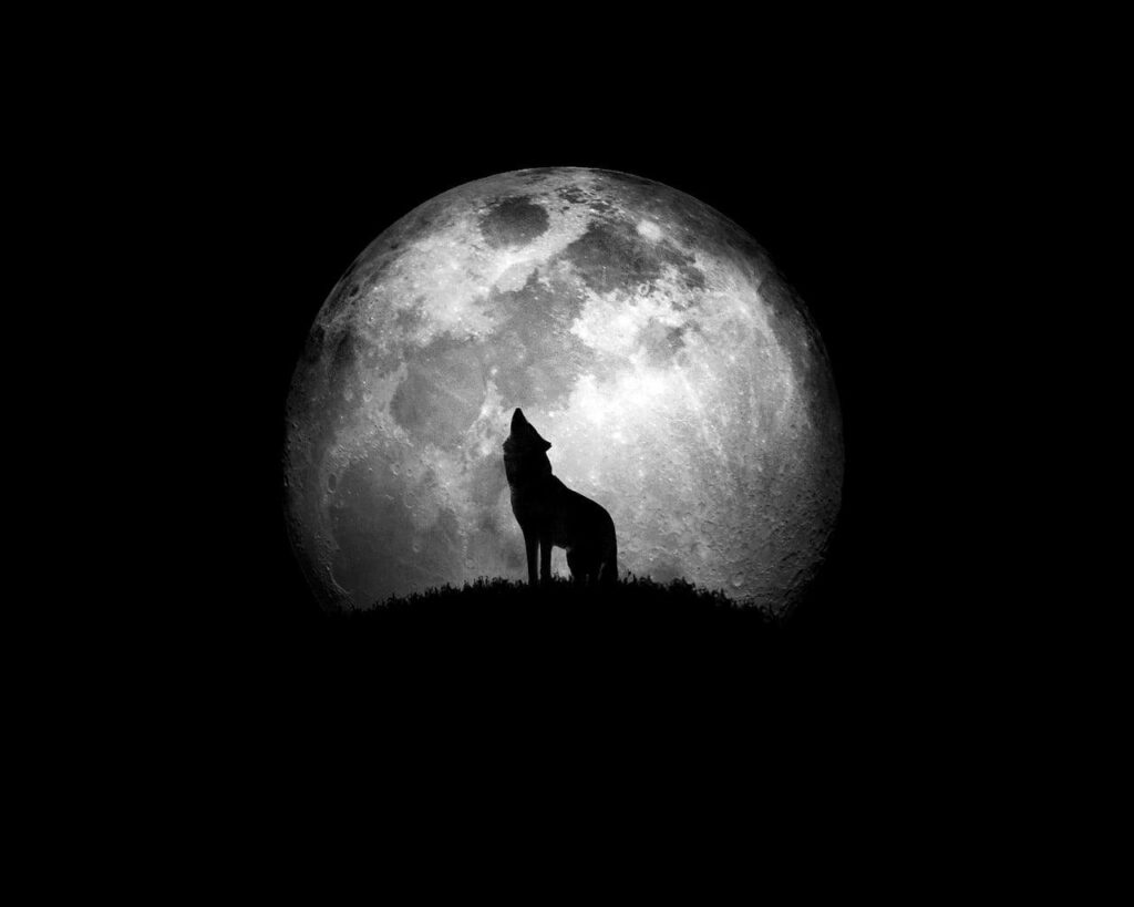 Howling Wolf Silhouette Wallpaper Against Luminous Full Moon Background
