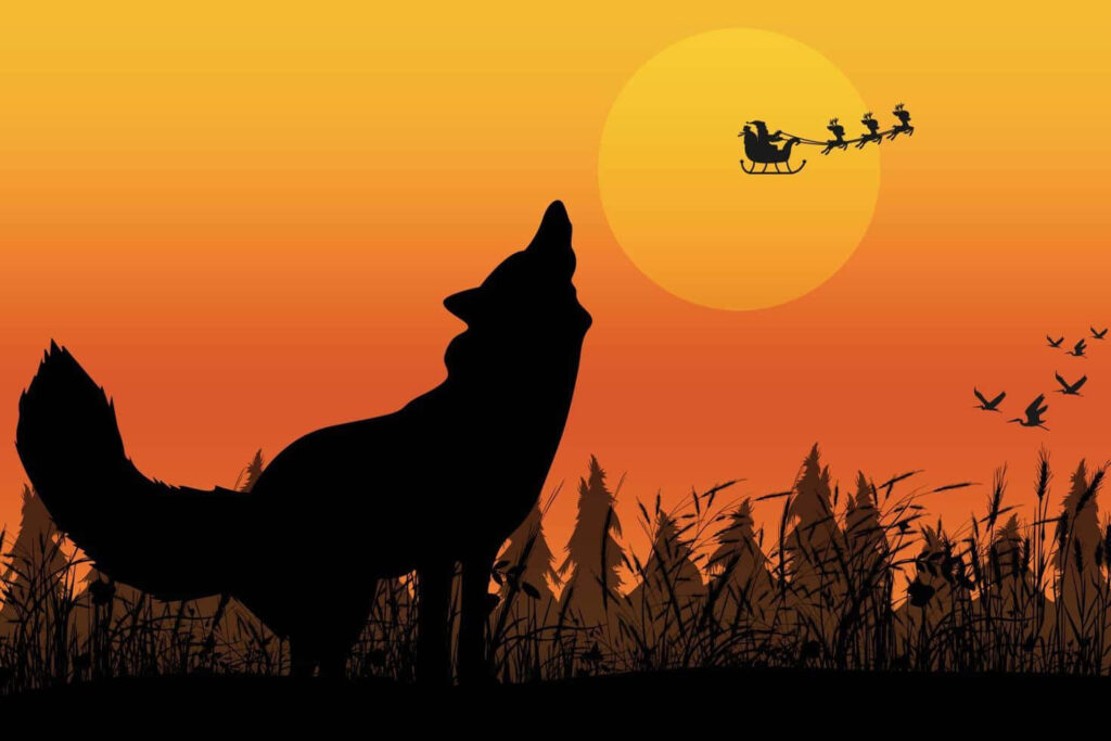 Howling Wolf Silhouette at Sunset: Enchanting Nature Wallpaper