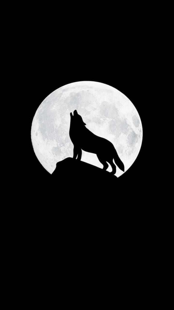 Wolf Howling at Full Moon - Mystical Night Scene Wallpaper