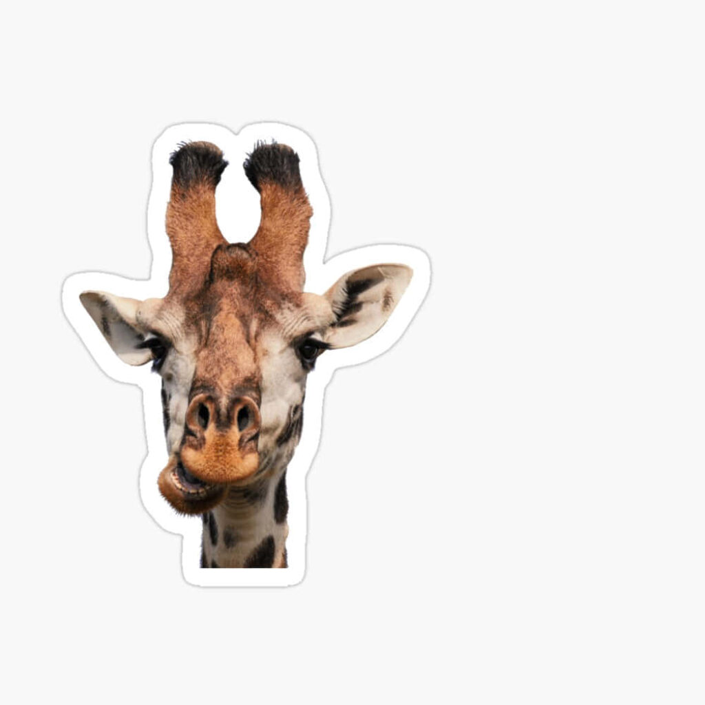 Humorous Giraffe Wallpaper: Quirky Fun for Any Space!