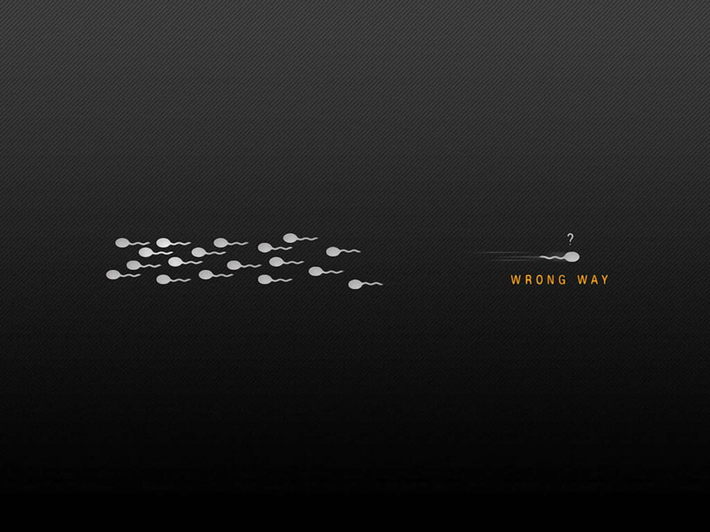 Humorous Minimalist Wallpaper: Sperm Cells with a 'Wrong Way' Twist