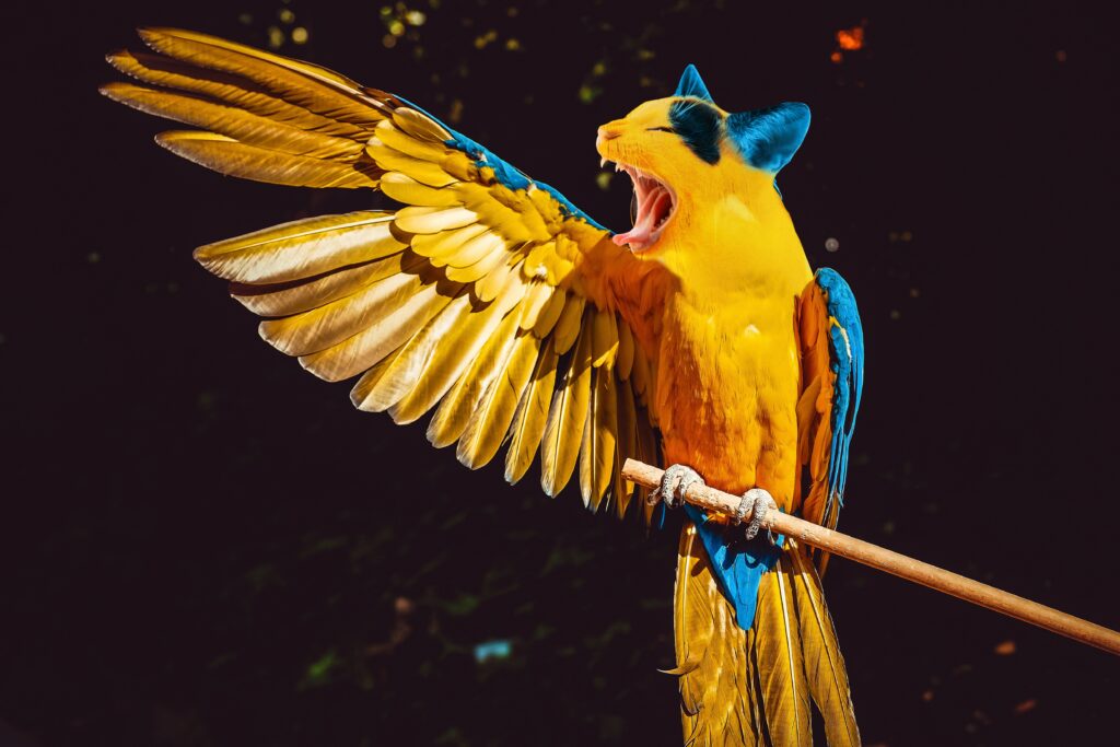 Whimsical Cat-Parrot Mashup Wallpaper: Funny & Colorful Art