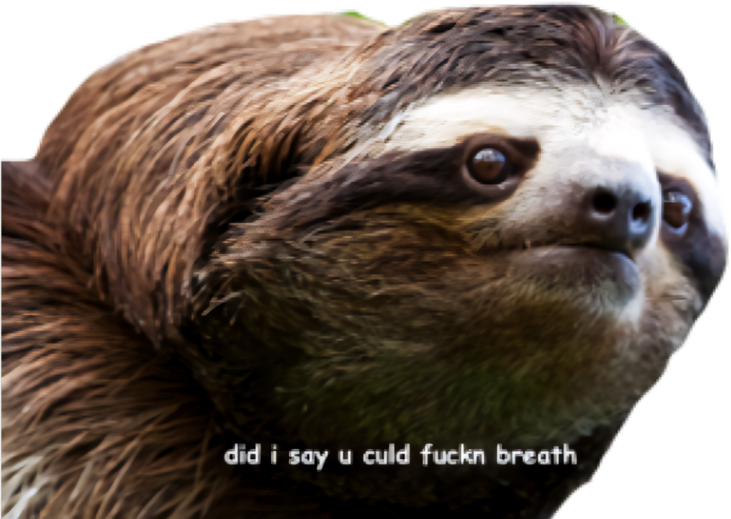 Funny Sloth Wallpaper: Sassy Meme Background for Your Device