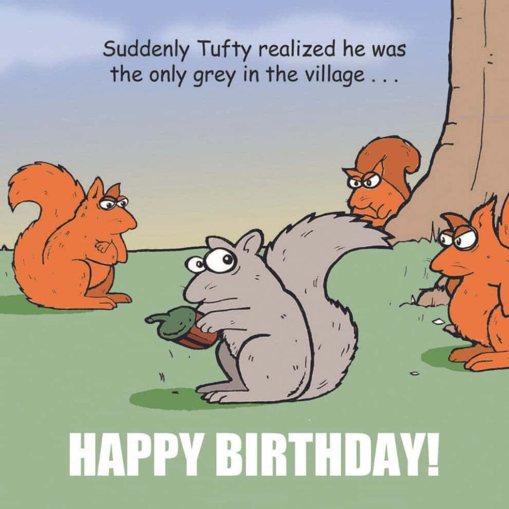 Funny Birthday Wallpaper: Tufty the Grey Squirrel's Special Day!