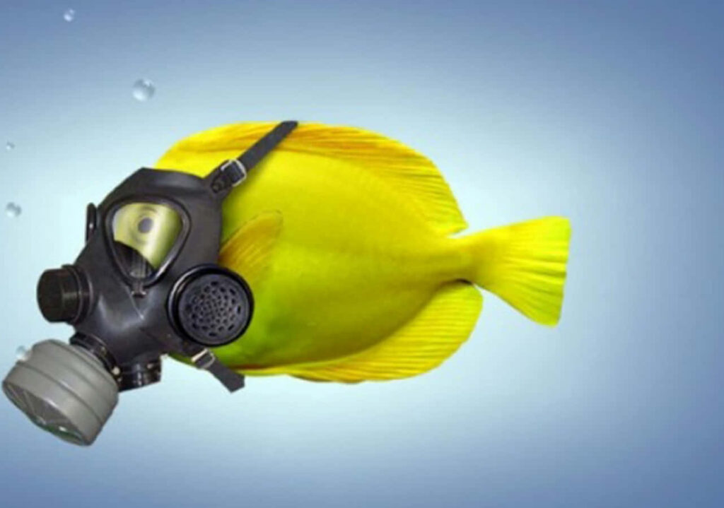 Playful Yellow Fish with Oxygen Mask - Fun Marine Life Wallpaper