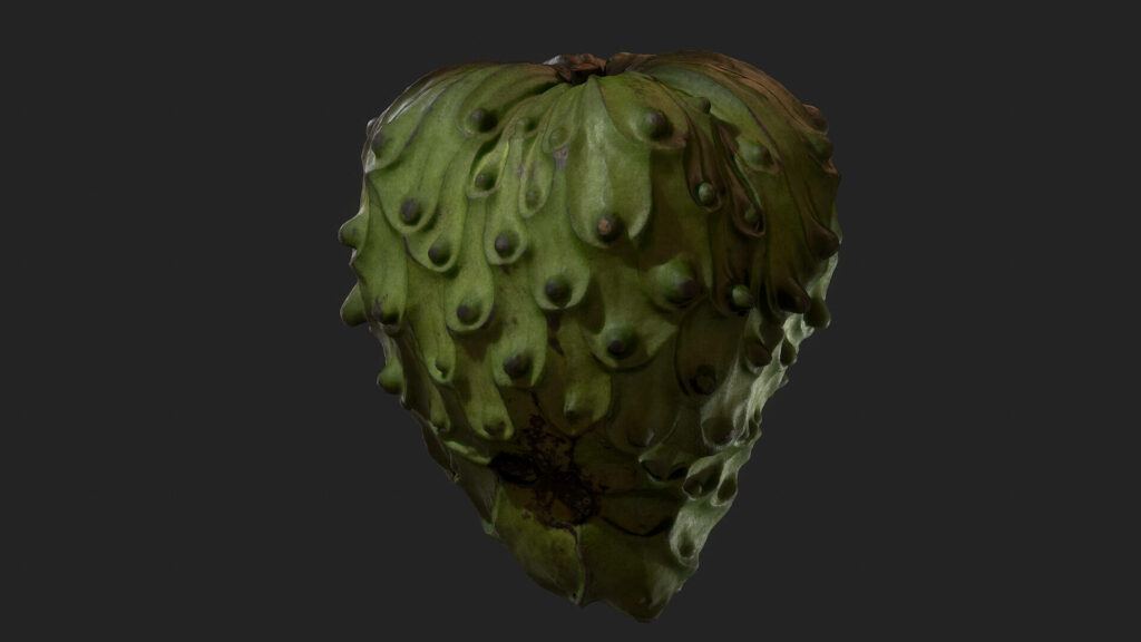 3D animated cherimoya fruit with textured green bumpy skin on dark background digital art wallpaper