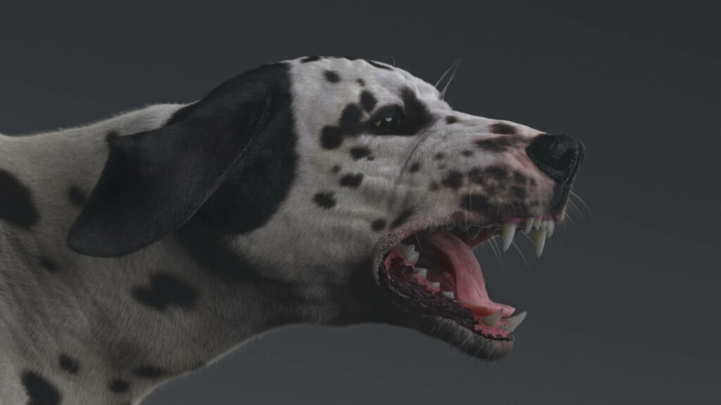 Hyper-realistic snarling Dalmatian with sharp teeth and intense expression on dark background Wallpaper