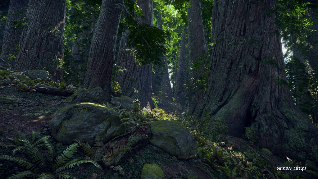 Hyper-realistic CGI forest wallpaper with ancient trees mossy rocks and sunlit ferns background