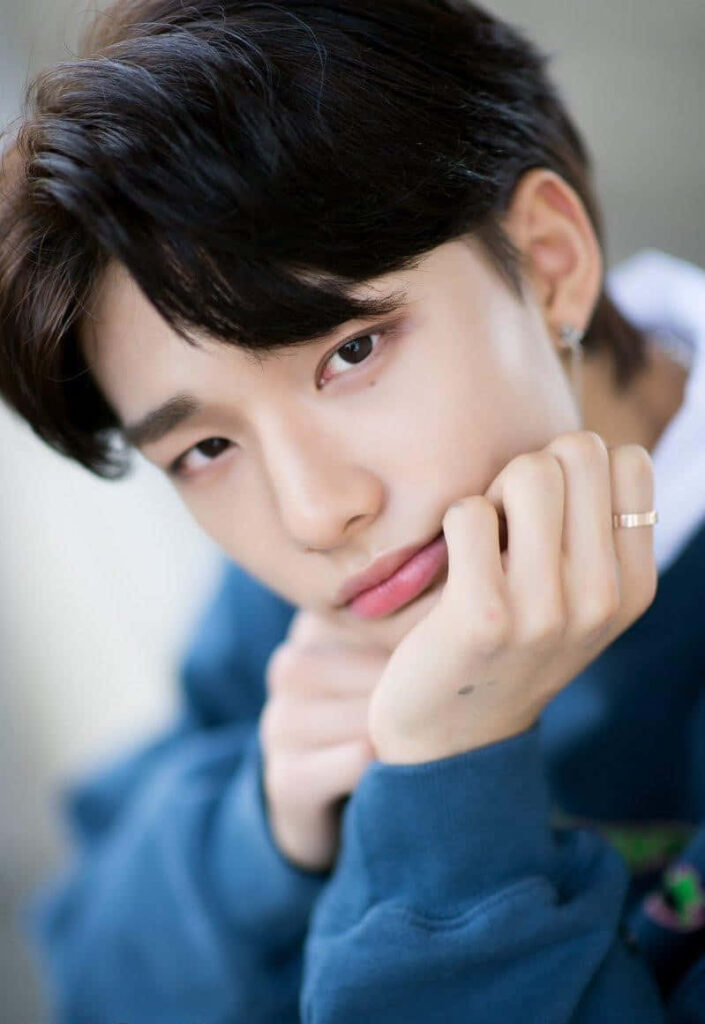 Hyunjin from Stray Kids poses gracefully with a soft thoughtful expression for wallpaper