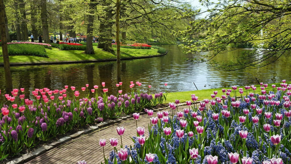 Lush Garden Oasis: Vibrant Flowers, Serene Pond, and Verdant Trees Embrace the Natural Beauty Wallpaper