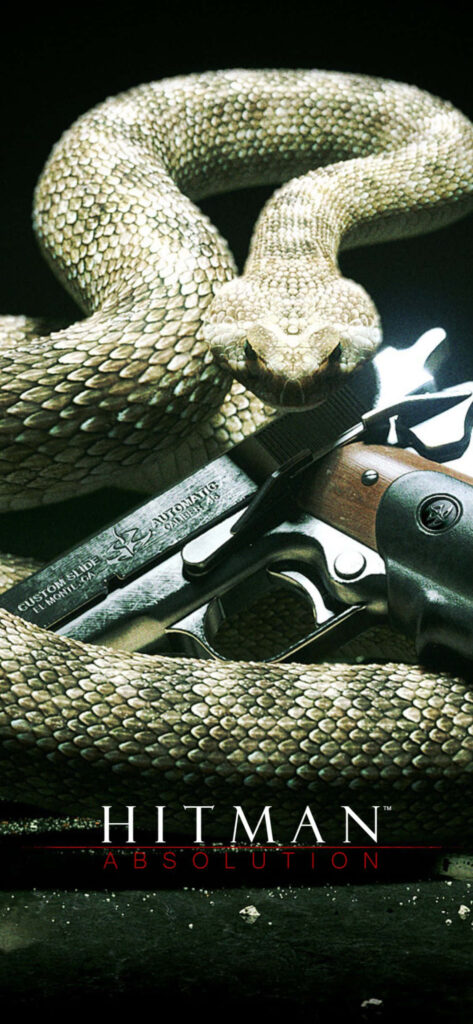World of Hitman Absolution - Seamless Thrills Await with 's Mighty Performance! Wallpaper