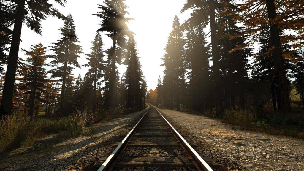 Tracks of Survival: Immersive DayZ Landscape in Crystal-clear 1080p Wallpaper